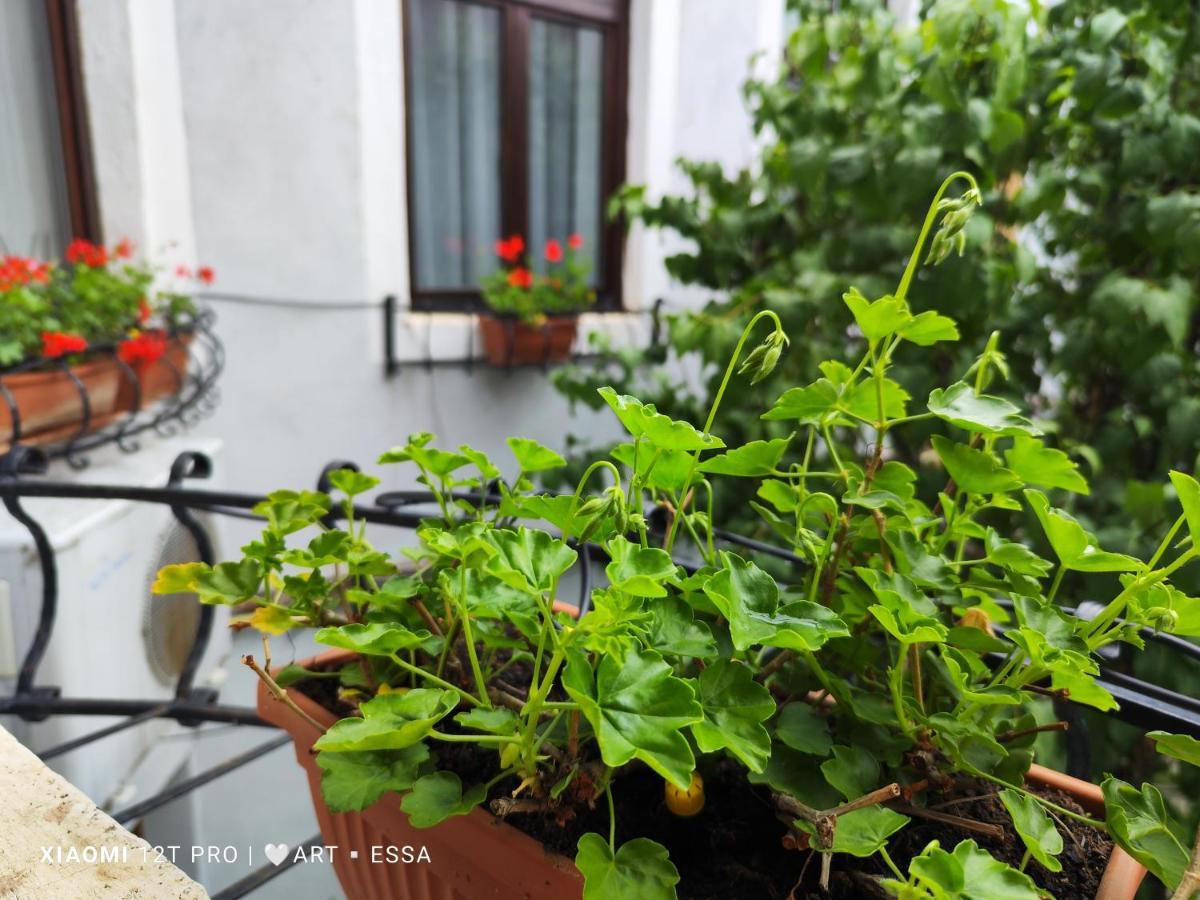 Apartament Buon Gusto,Near Main Square And Liar Bridge,Historical Side Of City Center 锡比乌 外观 照片