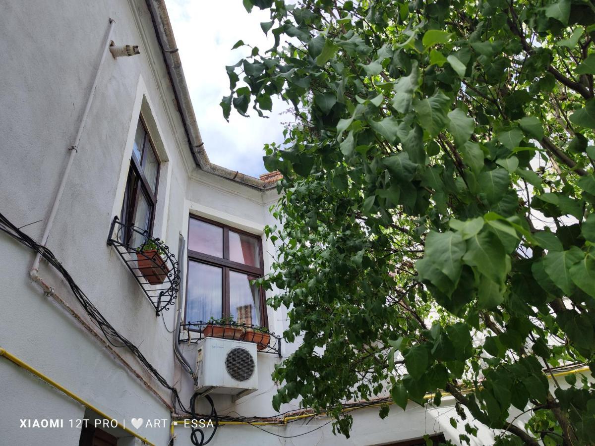Apartament Buon Gusto,Near Main Square And Liar Bridge,Historical Side Of City Center 锡比乌 外观 照片
